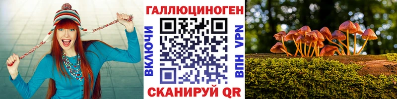 Псилоцибиновые грибы MAGIC MUSHROOMS  хочу наркоту  Отрадная 