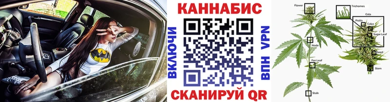 Конопля тримм Отрадная